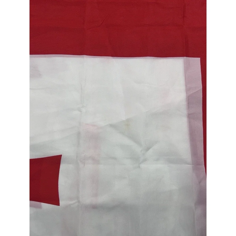 Vintage Georgian Flag Pennant Red White Banner Large Americana Retro Display